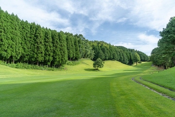후쿠오카 명문클럽 공항 40분