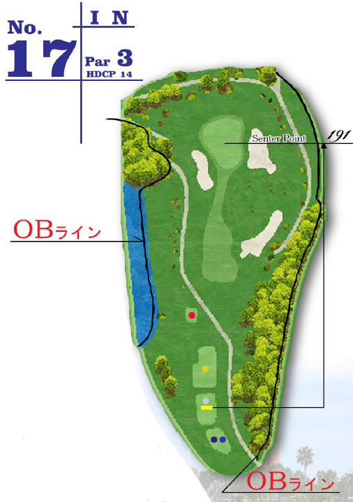 아이와미야자키 골프클럽 IN HOLE : 17