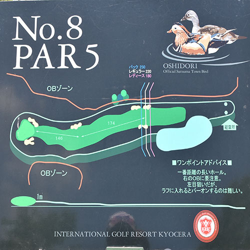 사츠마골프리조트 OUT HOLE : 8