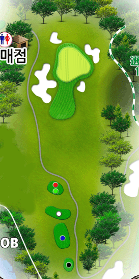 [아코디아] 그렌오크스 컨트리 클럽[공항 20분] IN HOLE : 13