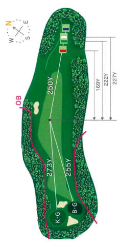 트라이얼골프리조트 와카미야코스 [후쿠오카공항 40분] IN HOLE : 17
