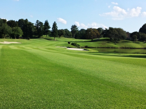 [PGM] 스프링필즈 골프클럽