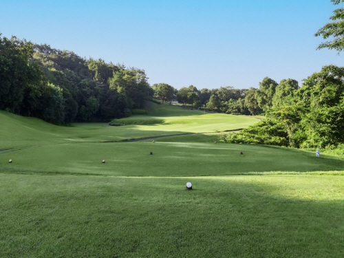 [PGM] 포레스트 미키 골프 클럽