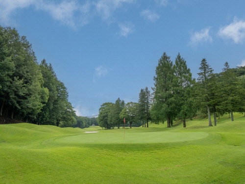 [PGM] 피트다이 골프클럽 VIP 코스